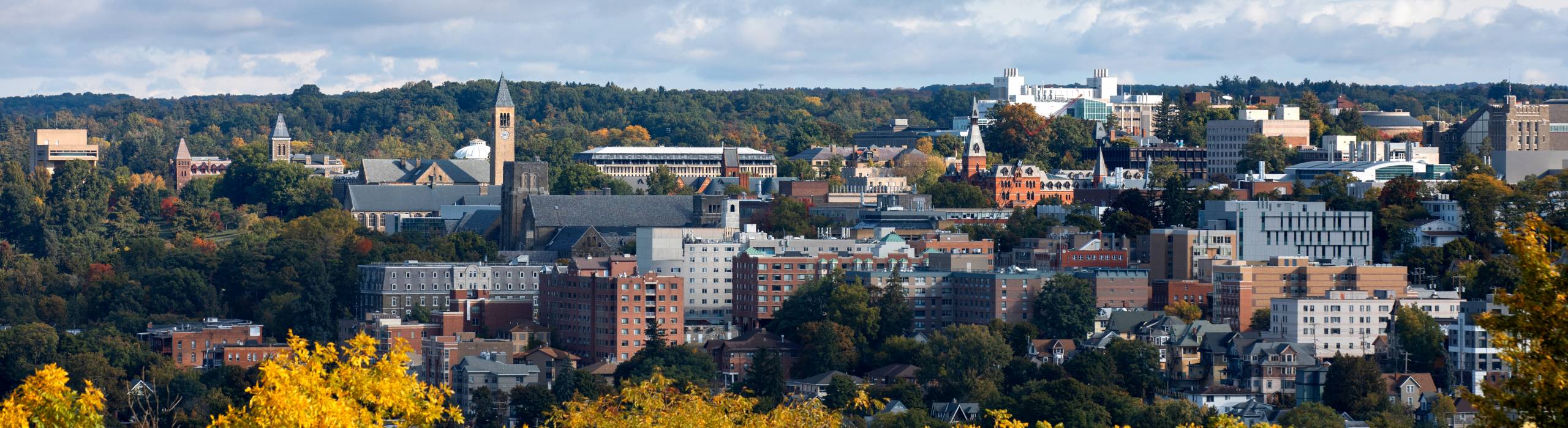 Cornell campus