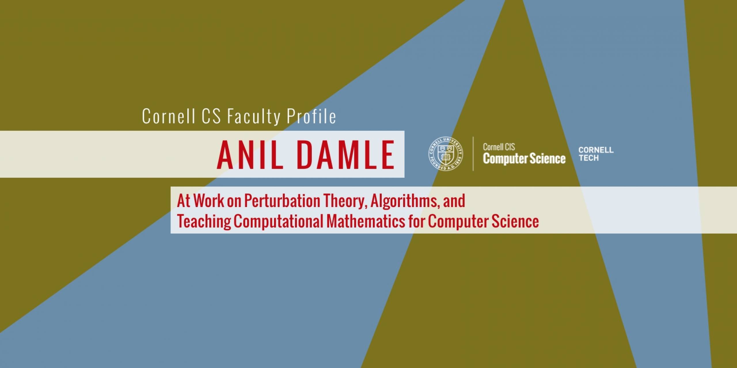 Faculty Profile: Anil Damle
